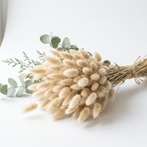 Botte de lagurus séché naturel