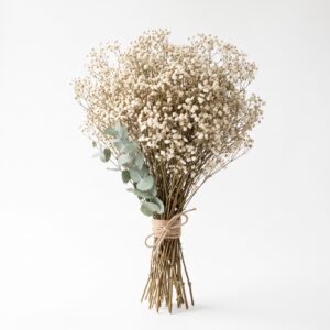Botte de gypsophile séchée