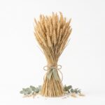 Botte de blé séché
