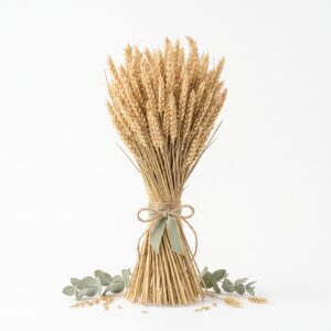 Botte de blé séché
