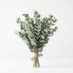 Eucalyptus stabilisé — Botte