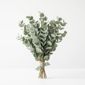 Eucalyptus stabilisé — Botte