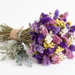 Statice séché (assortiment couleurs) — Botte