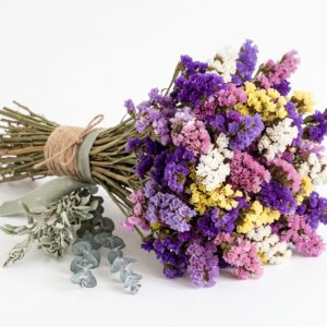 Statice séché (assortiment couleurs) — Botte
