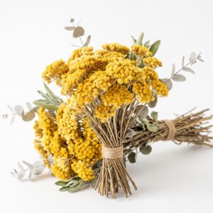 Immortelle / hélichrysum séché — Botte