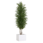 Arbre Nicoly Slim Green 180 cm végétal préservé pour fleuriste et décoration professionnelle