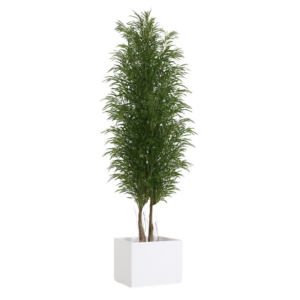 Arbre Nicoly Slim Green 180 cm végétal préservé pour fleuriste et décoration professionnelle