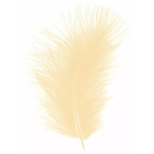 Plumes écru naturelles pour décoration florale et compositions de fleuriste
