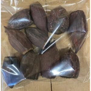 Fruits de cacao séchés pour décoration florale professionnelle et compositions de fleuriste
