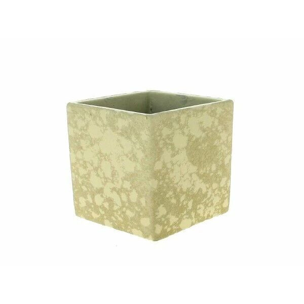 Cache-pot carré en ciment beige 10x10 cm hauteur 10,5 cm pour fleuriste et décoration florale professionnelle