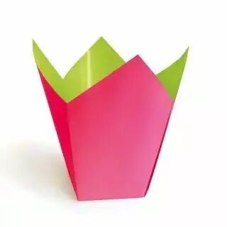 Cache-pot carton Stampo bicolore fushia vert anis 10,5 cm pour orchidées fleuriste CLAYRTON'S