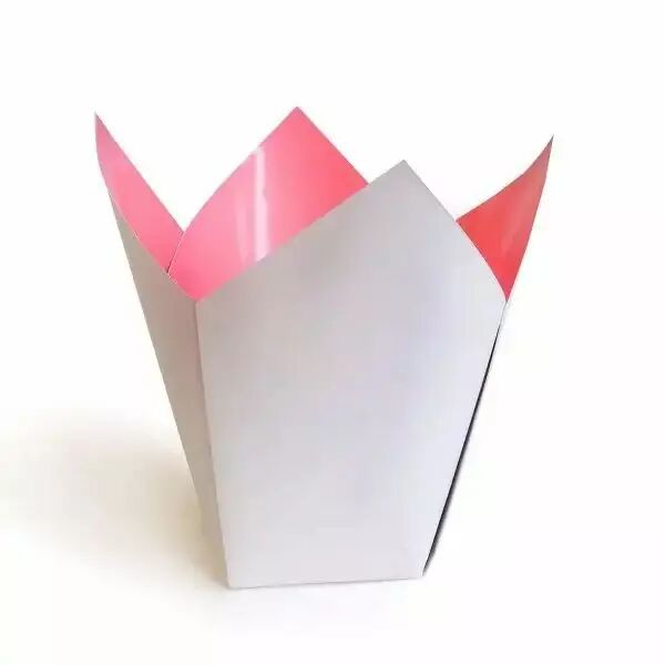 Cache-pot Stampo gris et rose pour orchidées en carton plastifié pour fleuriste