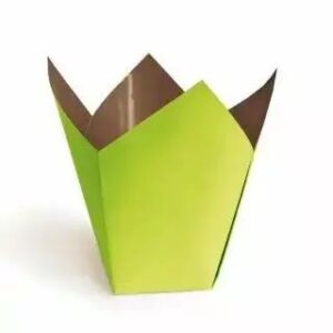 Cache-pot Stampo carton plastifié bicolore vert anis chocolat pour orchidées et compositions florales professionnelles