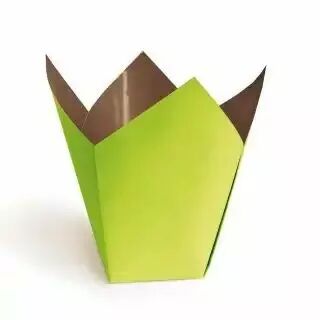 Cache-pot Stampo carton plastifié bicolore vert anis chocolat pour orchidées et compositions florales professionnelles