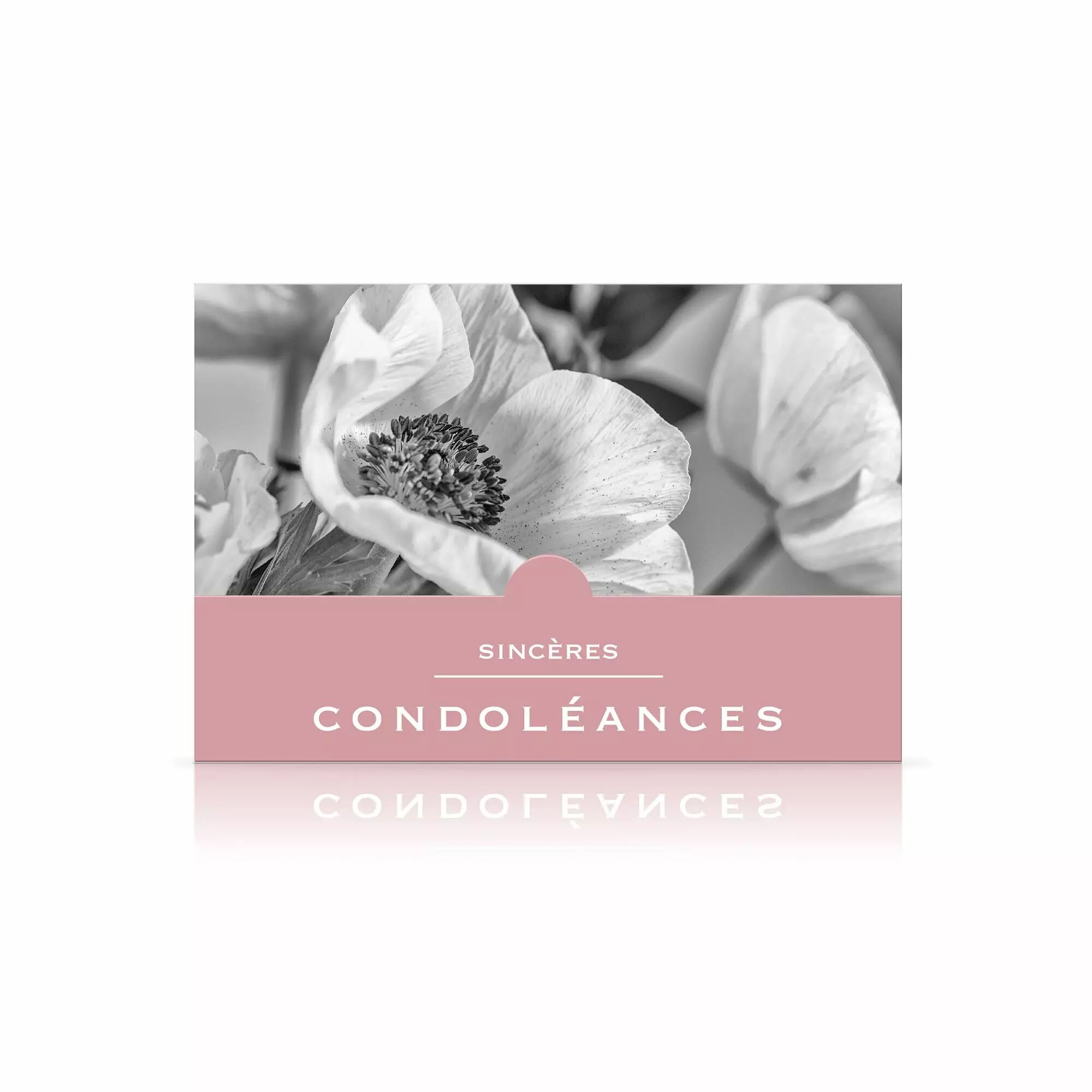 Cartes de condoléances grand format JESO CARDS pour fleuristes et messages de sympathie
