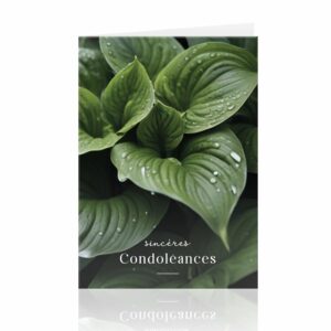 Cartes de condoléances grand format avec enveloppes kraft pour fleuristes et compositions funéraires
