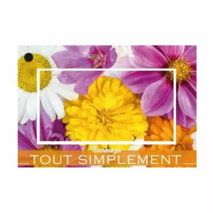 Cartes de voeux brillant Comme ça tout simplement avec enveloppes pour fleuristes JESO CARDS format 65x100mm