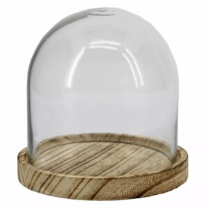 Cloche en verre transparent sur plateau bois pour composition florale et décoration fleuriste