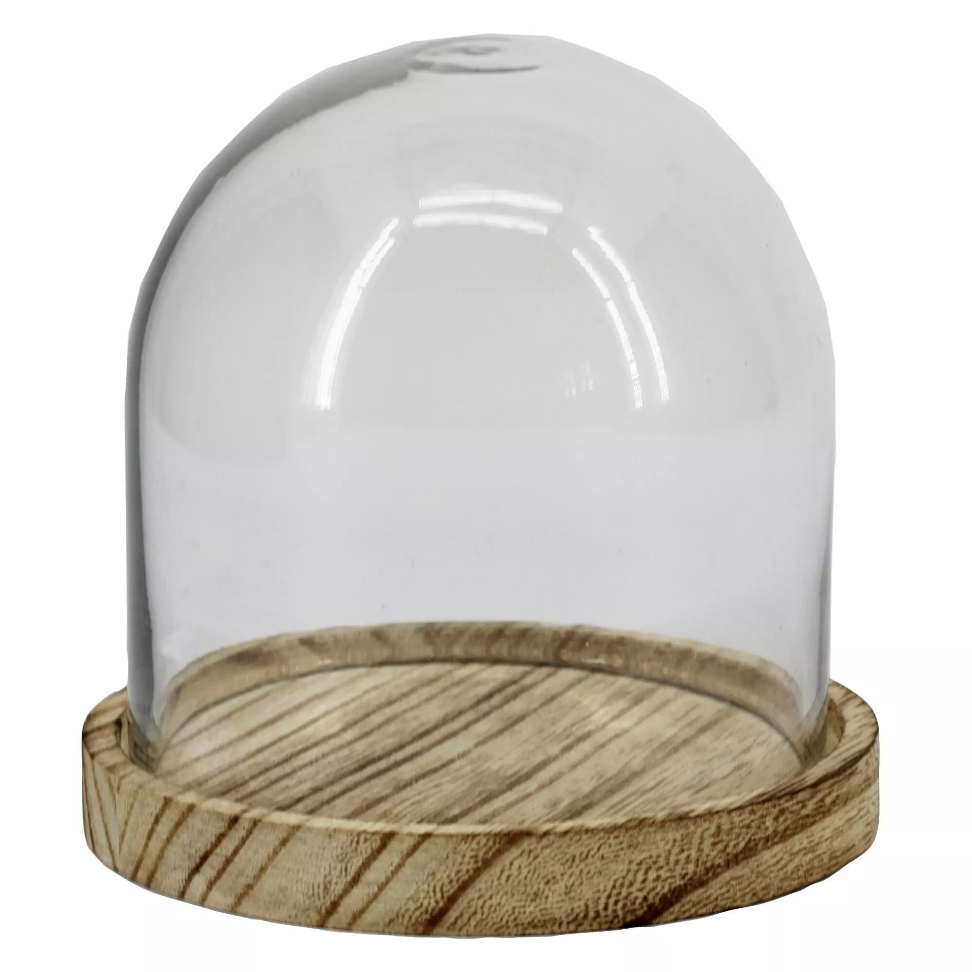Cloche en verre transparent sur plateau bois pour composition florale et décoration fleuriste