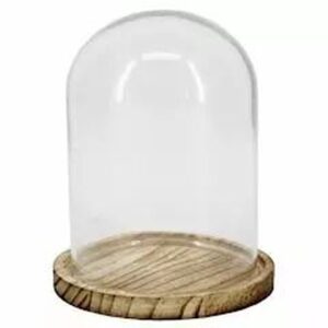 Cloche en verre transparent avec plateau en bois naturel pour composition florale et décoration fleuriste