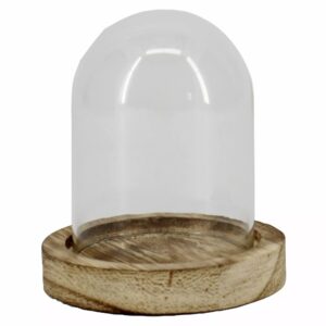 Cloche en verre transparente sur plateau bois pour composition florale miniature et décoration fleuriste