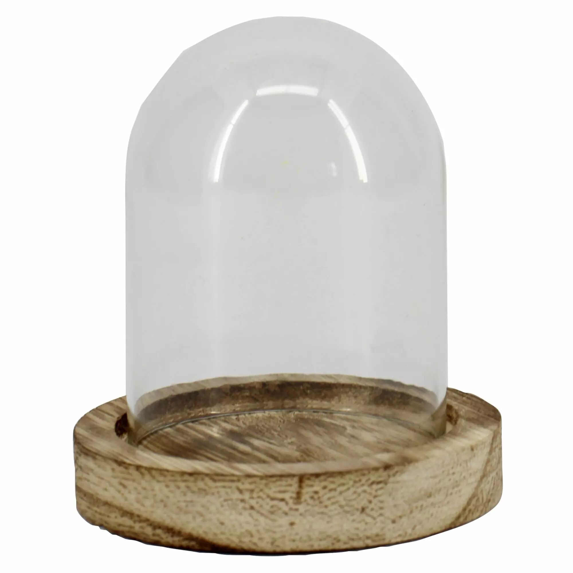 Cloche en verre transparente sur plateau bois pour composition florale miniature et décoration fleuriste