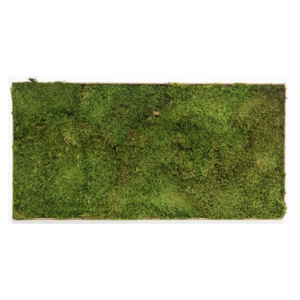 Dalle de mousse plate stabilisée VERDISSIMO 30x60 cm pour compositions florales et murs végétaux professionnels