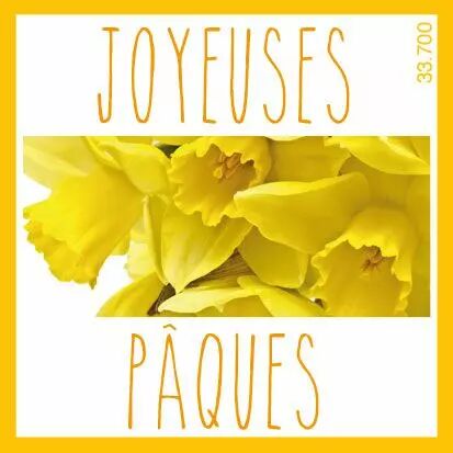 Étiquettes adhésives Joyeuses Pâques pour fleuriste en boîte de 500 pièces