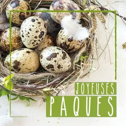 Étiquettes de vœux Joyeuses Pâques pour compositions florales fleuriste