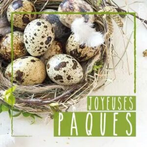 Étiquettes de vœux Joyeuses Pâques JESO CARDS pour compositions florales fleuriste