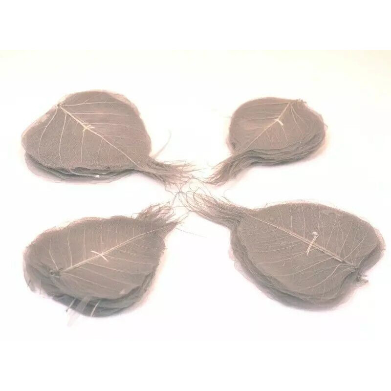 Feuilles squelettes grises ultra fines MESCHI pour décoration florale professionnelle