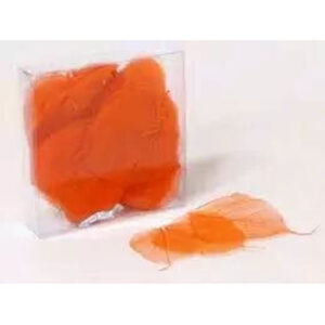 Feuilles squelette orange ultra fines avec nervures apparentes pour décoration florale et compositions événementielles