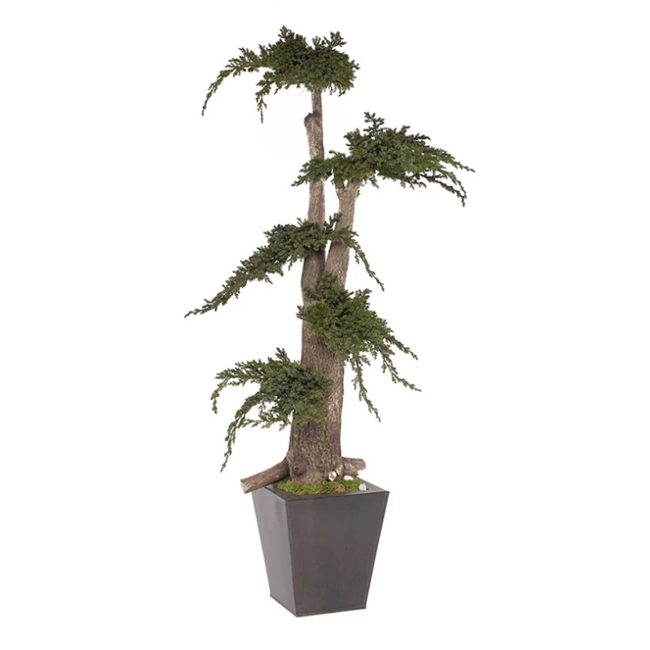 Arbre Jumbo Juniperus stabilisé VERDISSIMO 1 mètre pour décoration florale professionnelle sans entretien