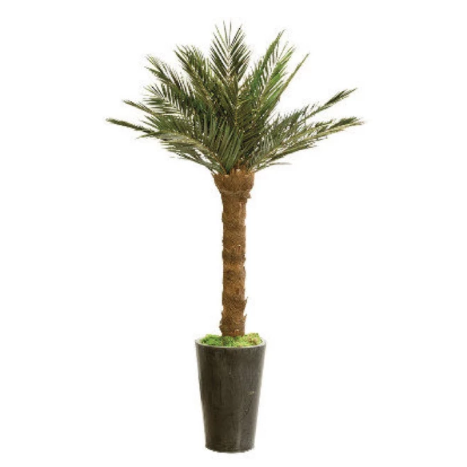 Kit palmier Phoenix artificiel 1,8 m pour fleuristes et décorateurs professionnels