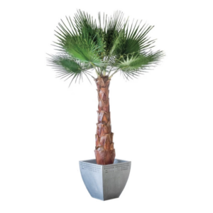 Palmier Washingtonia artificiel 1,4 mètre VERDISSIMO pour décoration professionnelle et aménagement intérieur