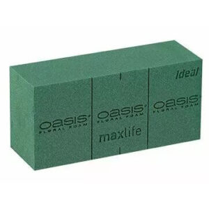 Mousse florale brique OASIS Idéal 23x11x8 cm avec lignes de découpe pour compositions florales professionnelles