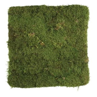 Panneau carré de mousse plate stabilisée 50x50 cm pour décoration florale et murs végétaux professionnels