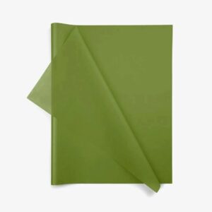 Rame de papier de soie vert mousse 17g pour fleuristes, conditionnement 240 feuilles, emballage bouquets professionnels