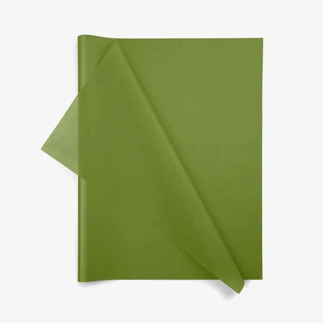 Rame de papier de soie vert mousse 17g pour fleuristes, conditionnement 240 feuilles, emballage bouquets professionnels