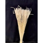 Phleum Wild séché rouge 70cm pour compositions florales et bouquets de fleurs séchées