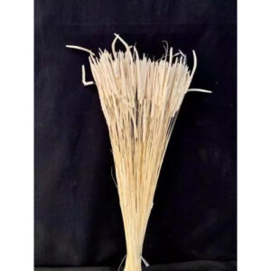 Phleum Wild séché rouge 70cm MESCHI pour compositions florales et bouquets de fleurs séchées