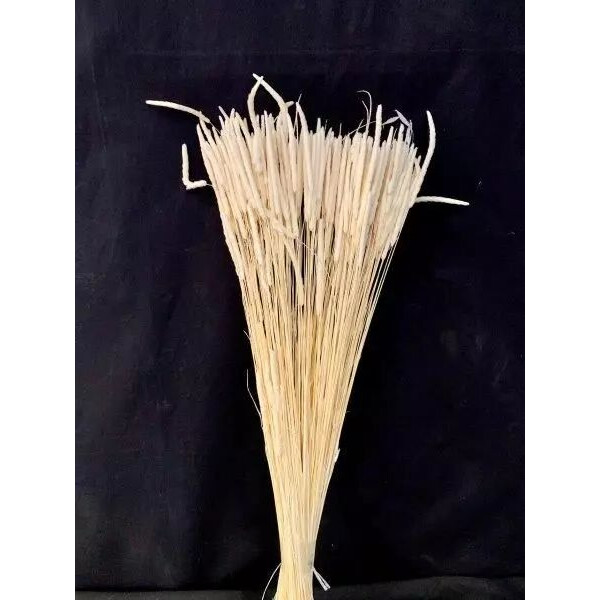 Phleum Wild séché rouge 70cm MESCHI pour compositions florales et bouquets de fleurs séchées