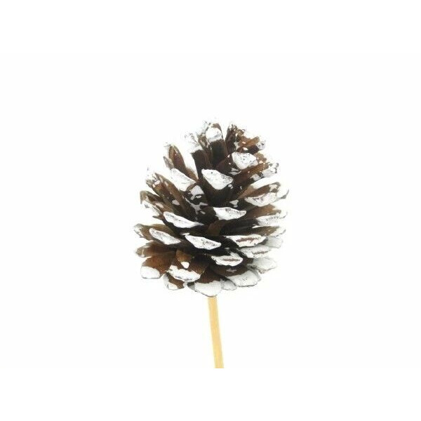 Pic décoratif pomme de pin blanc diamètre 7 cm sur tige 20 cm pour compositions florales et décoration de Noël