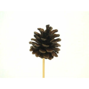 Pic pomme de pin naturel 7 cm sur tige 20 cm pour composition florale et décoration de Noël