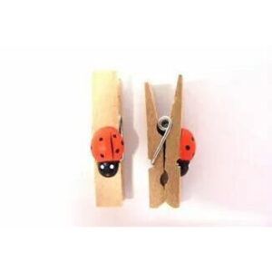 Pinces en bois naturel 35mm décoratives avec coccinelle pour compositions florales et accessoires fleuriste