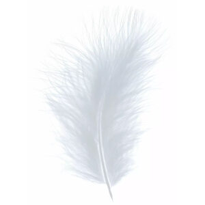 Plumes décoratives grises en boîte pour compositions florales et décoration événementielle professionnelle