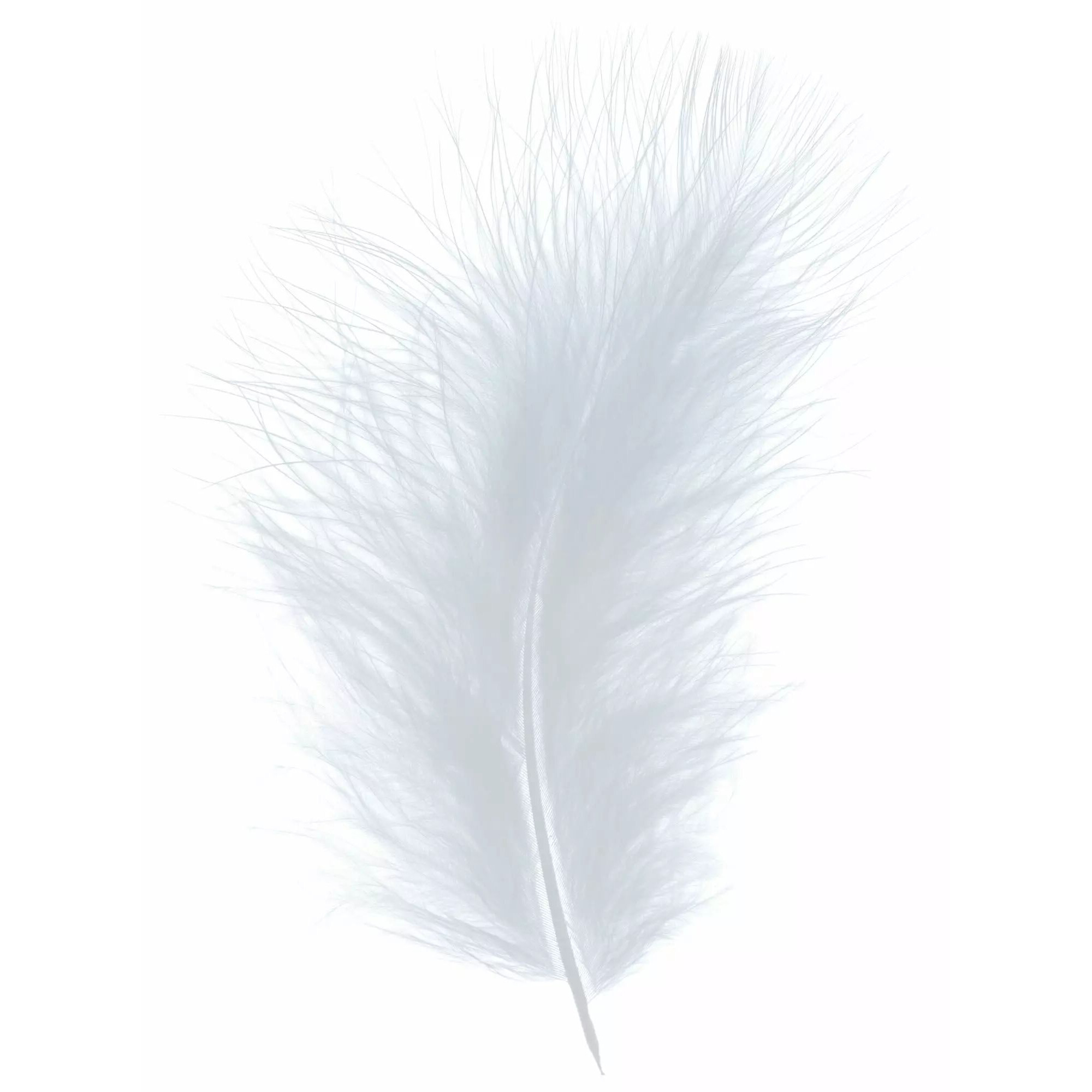 Plumes décoratives grises en boîte pour compositions florales et décoration événementielle professionnelle