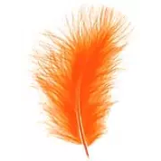 Plumes décoratives orange pour compositions florales et créations de fleuristes
