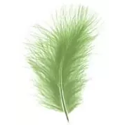 Plumes décoratives vert pastel ENKELS pour compositions florales et arrangements fleuriste