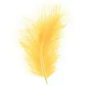 Plumes jaunes décoratives pour fleuristes en boîte de 50 pièces